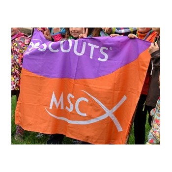 Bandera de Scouts MSC