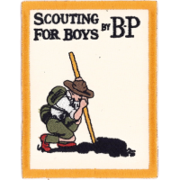 Insignia Scouting for Boys