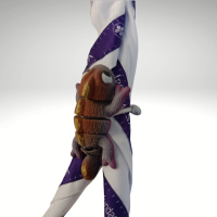 Pasador Camaleón Scout