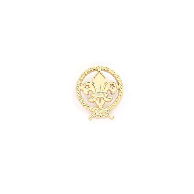 Pin Flor de Lis Mundial oro