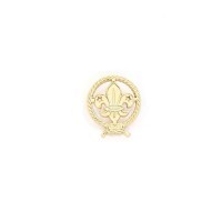 Pin Flor de Lis Mundial oro