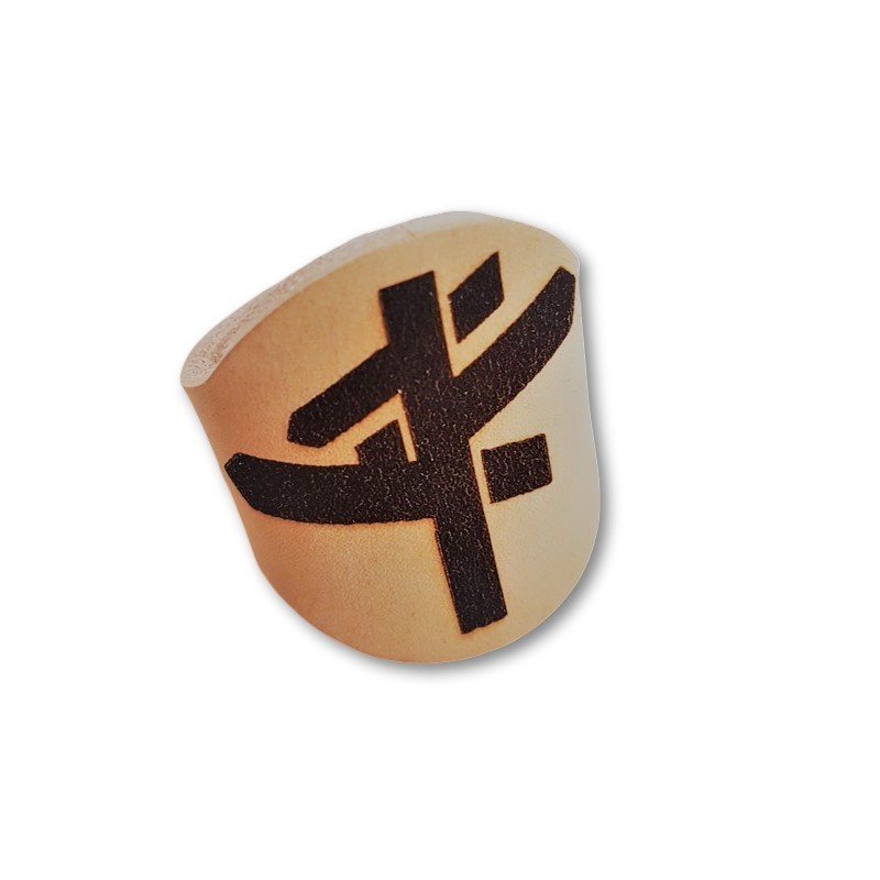 Pasador Laser- Rutas MSC