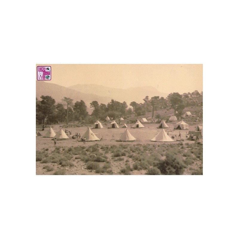 POSTALES EXPOSCOUT Serie II -2023