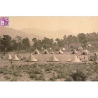 POSTALES EXPOSCOUT Serie II -2023