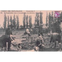 POSTALES EXPOSCOUT Serie I -2022